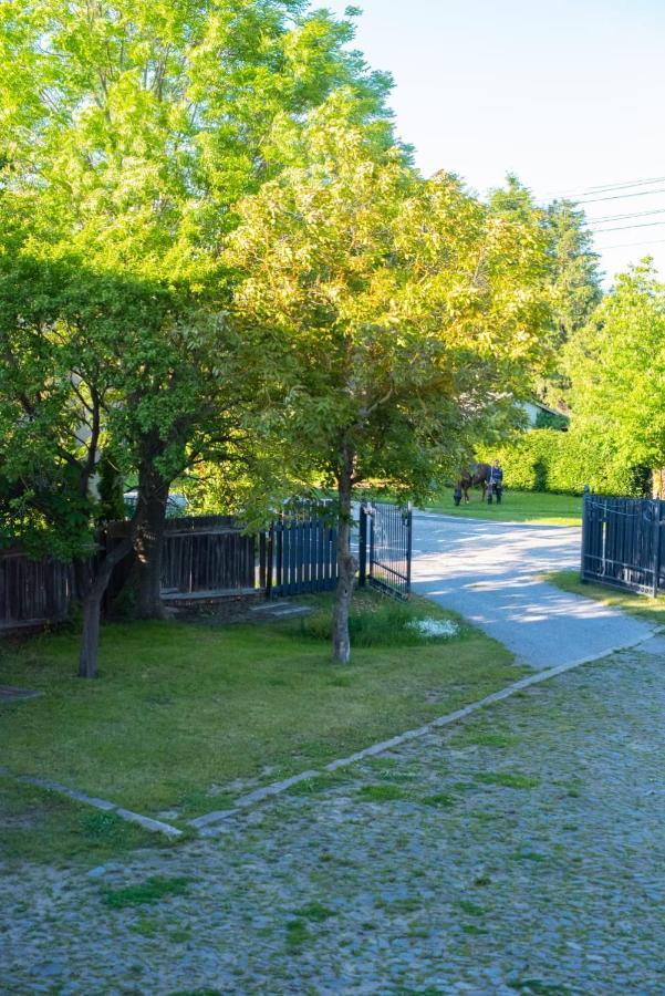 Ferienhaus Brockenblick Villa Huttenrode Ngoại thất bức ảnh